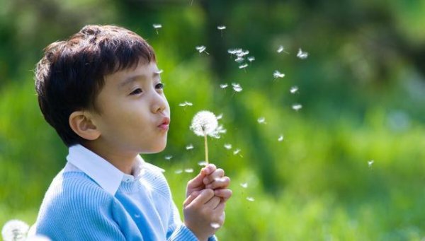 配多多 别再说孩子小了，3岁起这样培训孩子，让孩子赢在起跑线