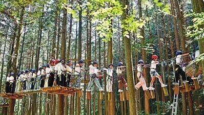 维嘉优配 孩子走出教室，探秘丛林博物馆，成长的秘密藏在哪？