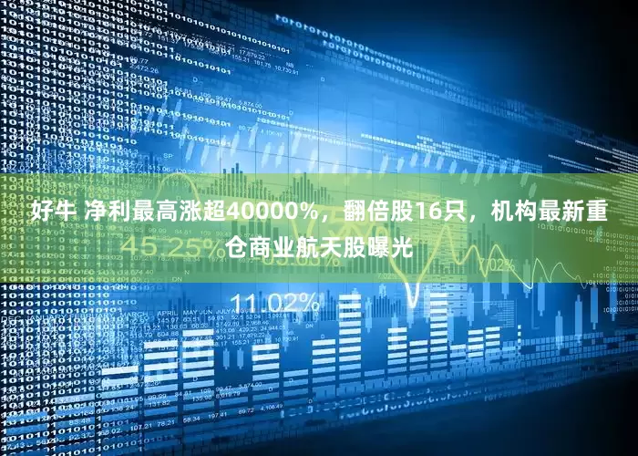 好牛 净利最高涨超40000%，翻倍股16只，机构最新重仓商业航天股曝光